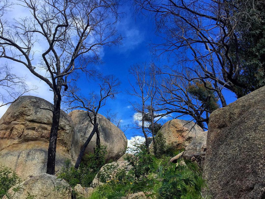 Be awed by the amazing granite rock formations at Black Hill Reserve in Kyneton.