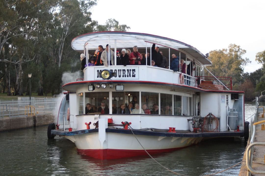 Tour the Murray River onboard a paddle steamer.
