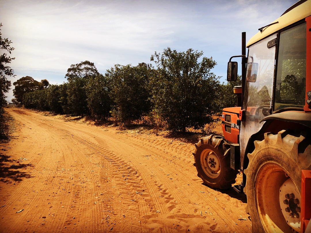 The guided tractor ride around the farm is a highlight for families at Orange World.