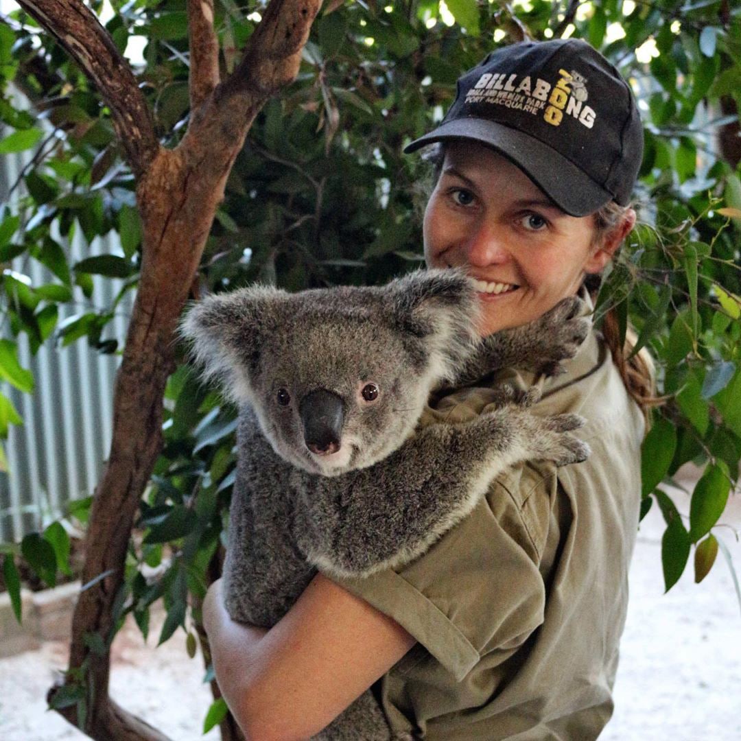 Visit cuddly koalas and learn more about them at the Billabong Zoo.