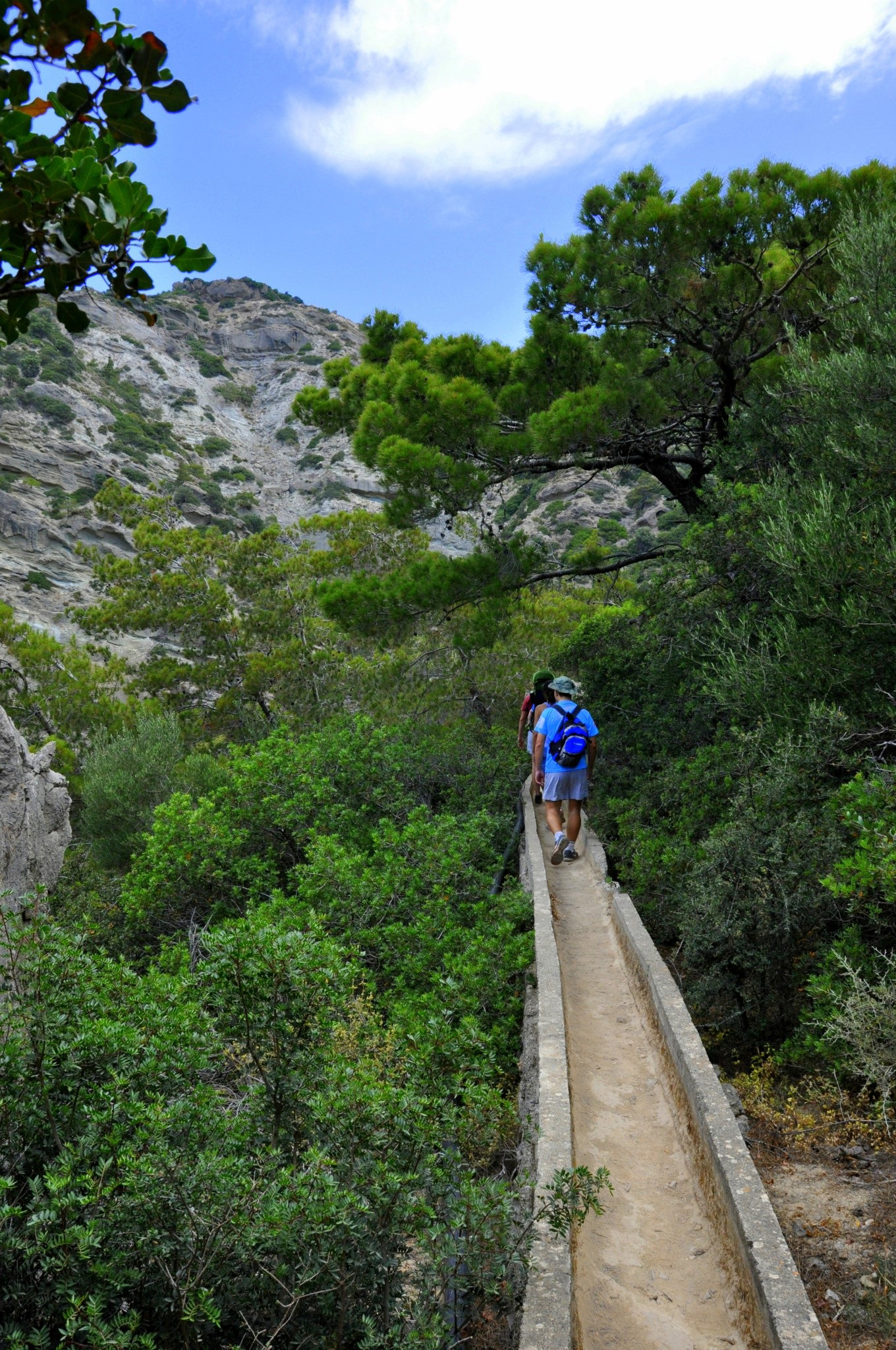 Hiking in Crete Island is a great way to get a taste of the stark beauty of nature there. Two hiking trails, an easy one and a more challenging one, are offered at Milonas Gorge.