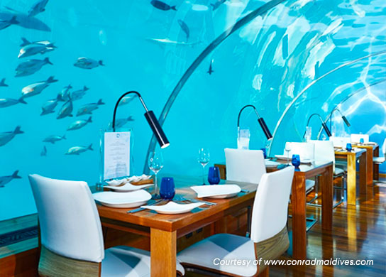 2. Have an underwater dining experience at the Ithaa Undersea Restaurant