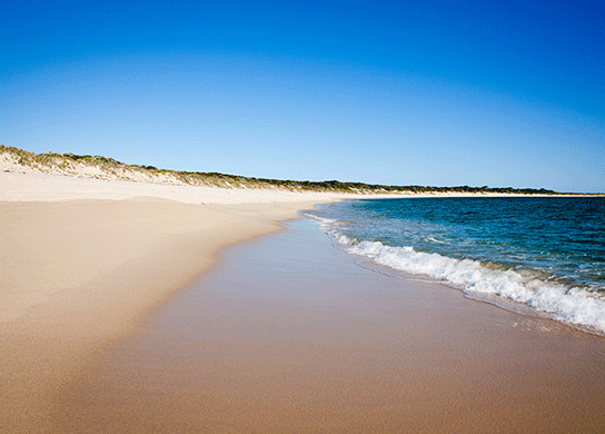 Plant your footprints on the postcard-perfect Four Mile Beach