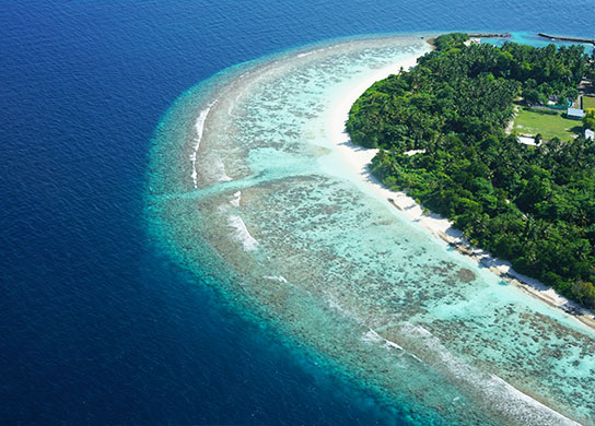 3. Visit Baa Atoll, a biosphere reserve
