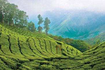 MUNNAR