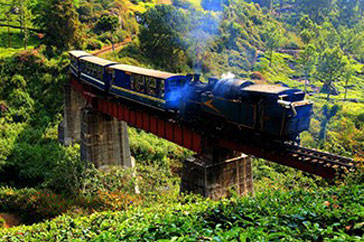 OOTY