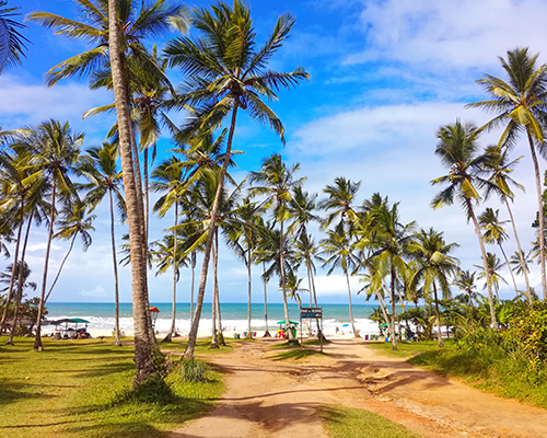Latam con hasta 40%OFF
