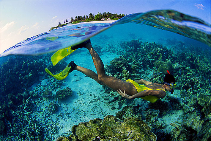 buceo-cancun